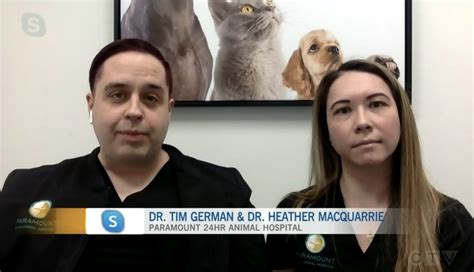 Calgary Emergency Vet .
